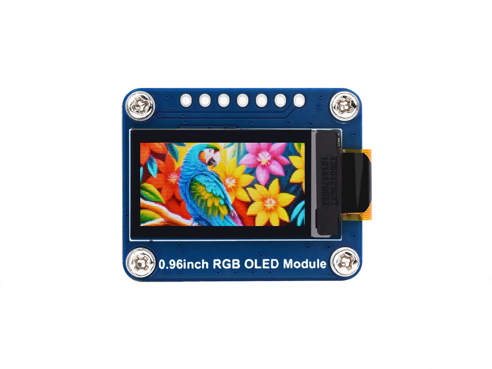0.96寸RGB OLED模块 64×128分辨率 65K彩色 SPI通信