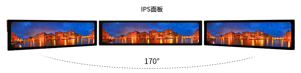 11.9 英寸 DSI 触控屏显示角度