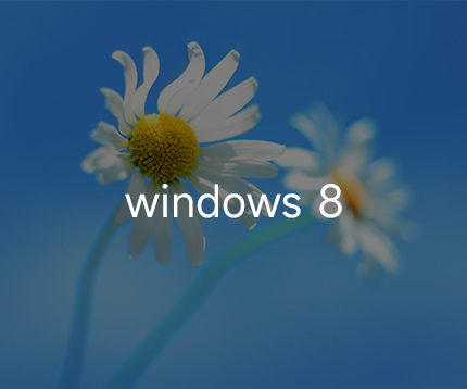 支持 win8