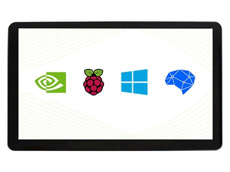 15.6inch HDMI LCD (H) (带外壳)