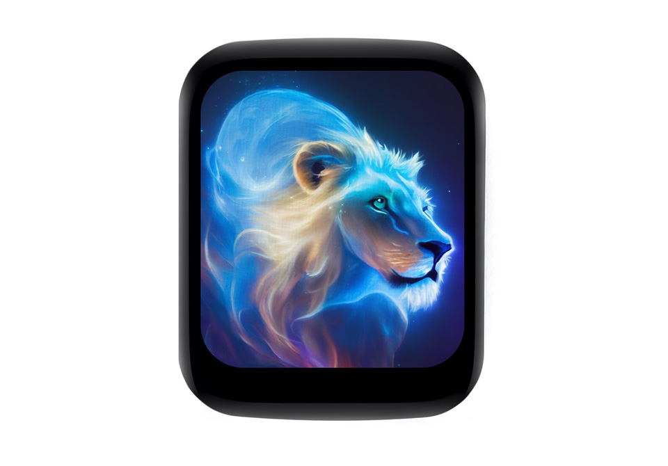 1.69 英寸触摸  LCD 扩展板