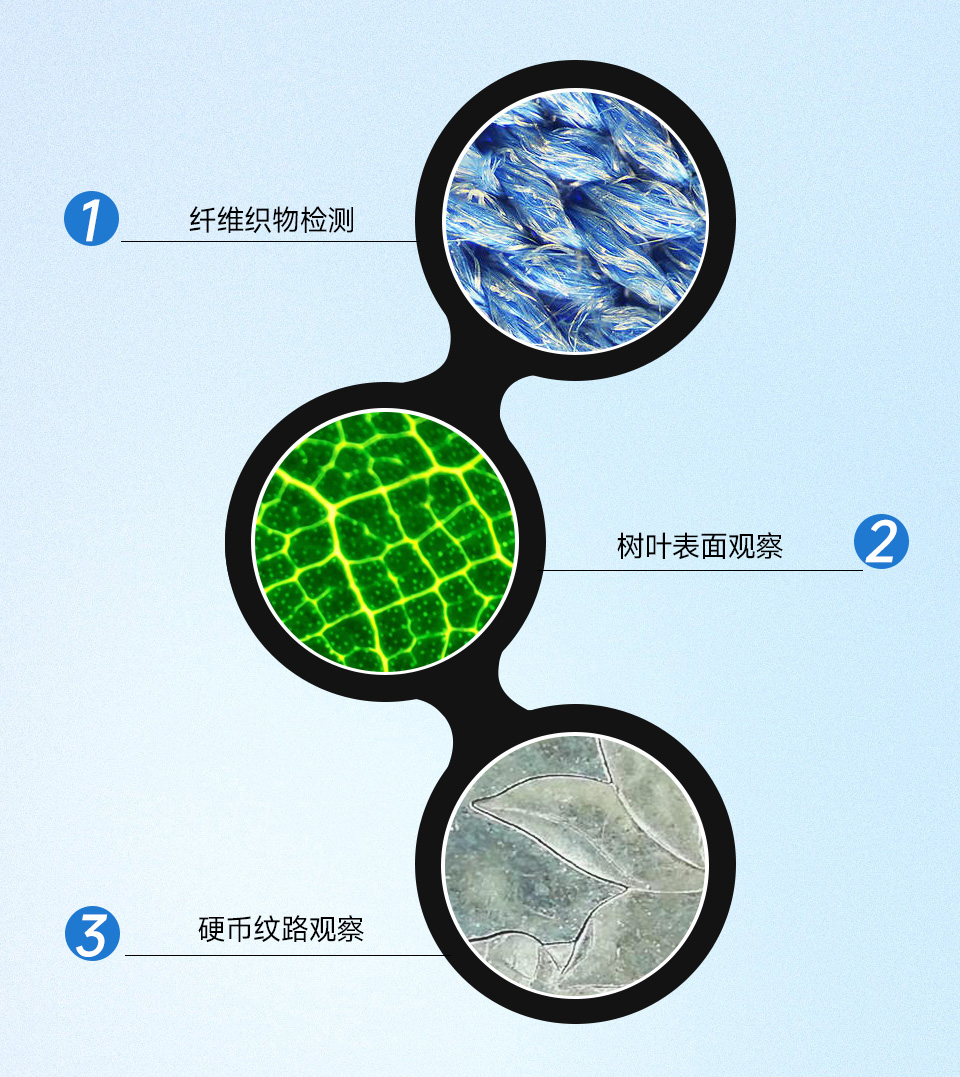 100 倍放大工业显微镜头