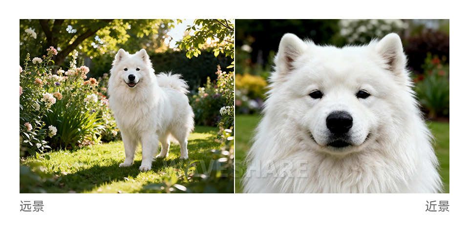 800 万像素 M12 摄像头模块高分辨率