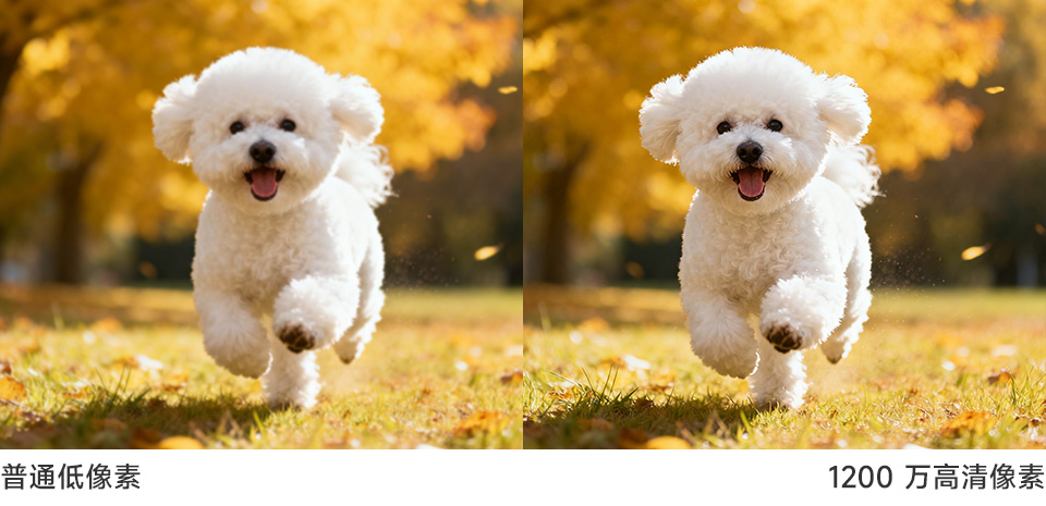 IMX708 1200 万自动对焦摄像头  高分辨率实拍效果