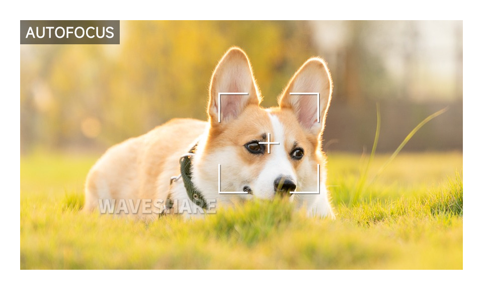 IMX708 1200 万自动对焦摄像头灵活自动对焦