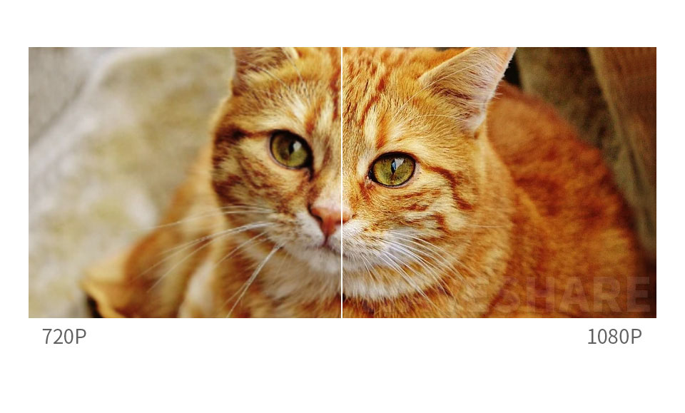 树莓派摄像头 B 型 1080P 高清视频录像