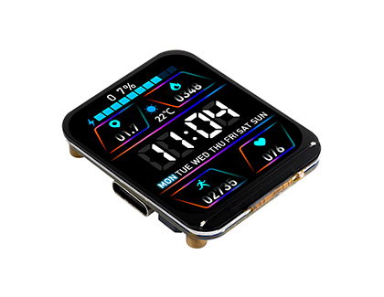 SP32-S3 1.69 英寸液晶开发板显示日间及运动相关信息界面