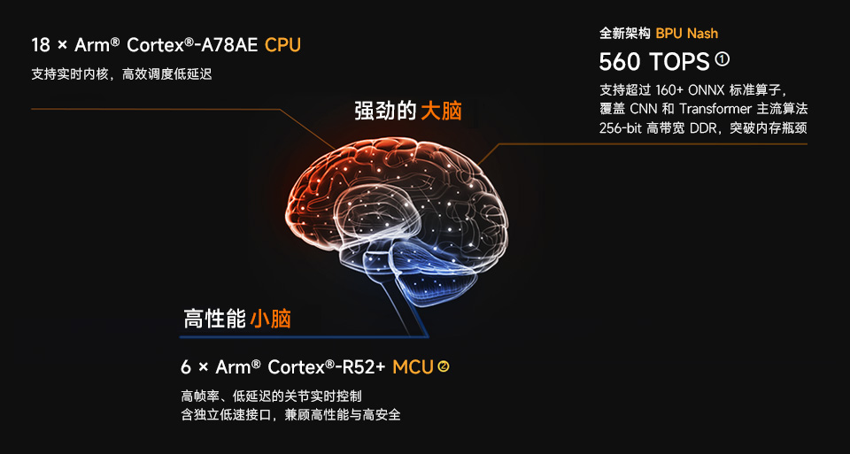 RDK S600 类人大小脑架构 CPU BPU MCU 协同示意图