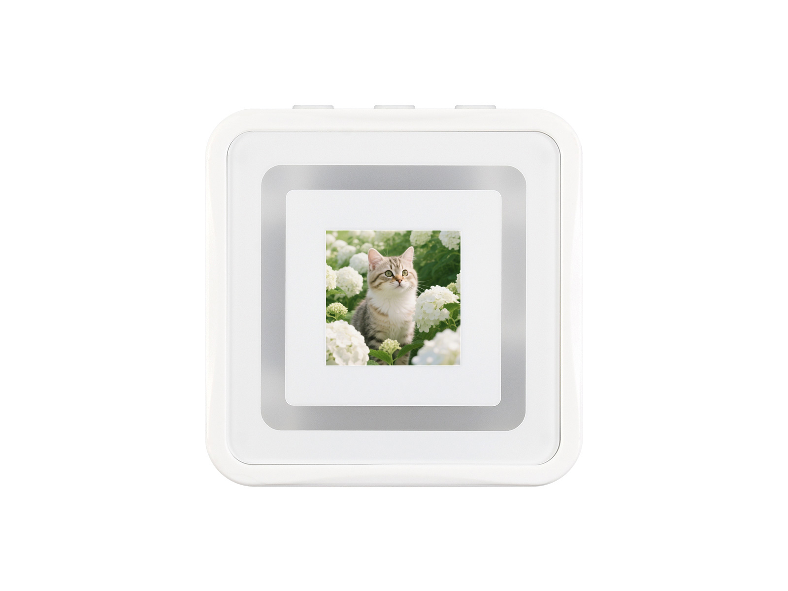 RP2350 0.85英寸LCD开发板 128×128分辨率 65K彩色 IPS显示面板 双核双架构 RGB灯效