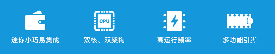 RP2350-USB-A 迷你开发板卖点图标，包括：迷你小巧、双核双架构、高运行频率、多功能引脚